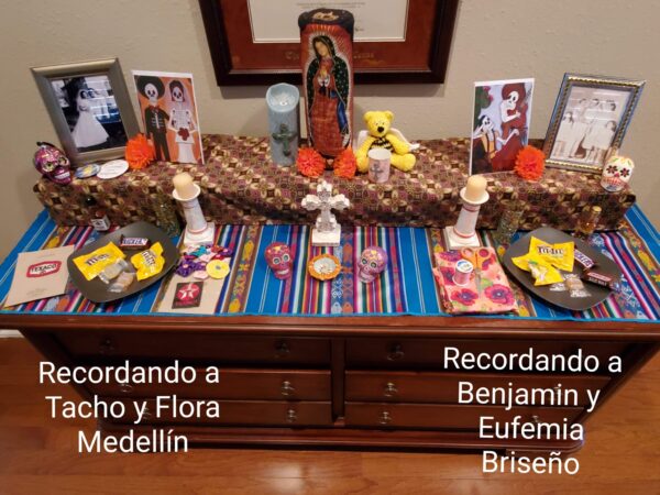 Medellin Briseno